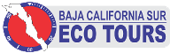 BCS Tours